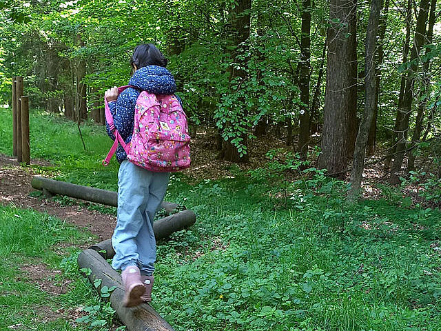 Balancieren im Wald