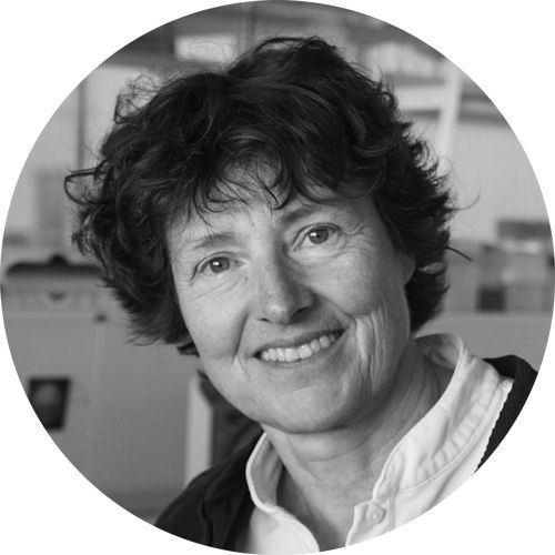 Portrait von Prof. Dr. Petra Schwille